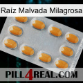 Raíz Malvada Milagrosa cialis3